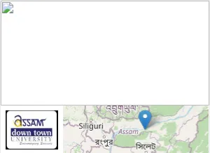 Assam Down Town University