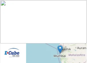 ECube Global College