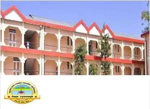 Maharana Pratap Government College
