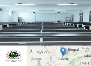 Renaissance University