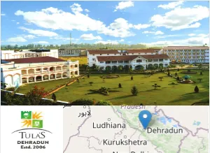 Tula Institute