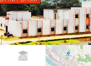Advanced Information and Management Studies