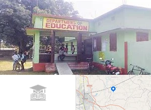 D.S. College
