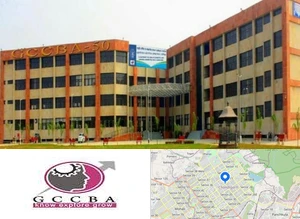 Government College of Commerce and Business Administration