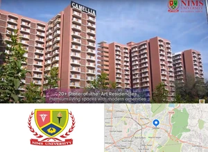 NIMS Institute of Management and Commerce, NIMS University campus view