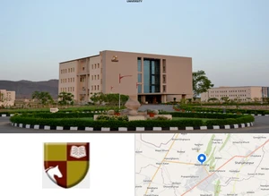 Raffles University