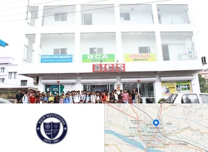 RICIS Institution