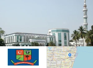 The New College