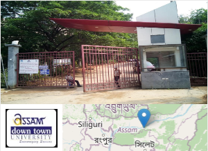 Assam Down Town University: 2025 Admissions Fees Courses and Placements