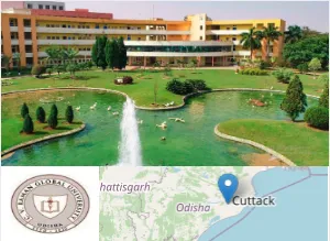 C. V. Raman Global University