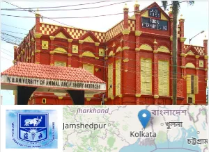West Bengal University of Animal and Fishery Sciences