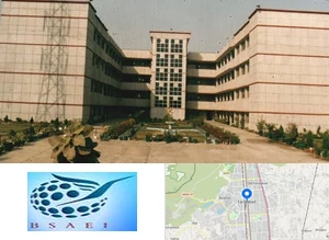 B S Anangpuria Institute of Technology and Management