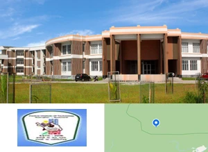 Central Institute of Technology