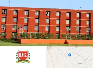 DNS Group of Institutions