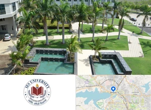 IES University
