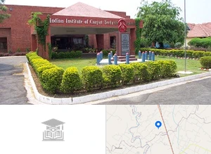 Indian Institute of Carpet Technology