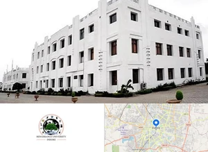 Renaissance University