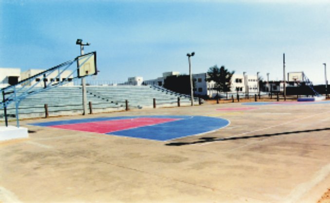 Basketball Court
