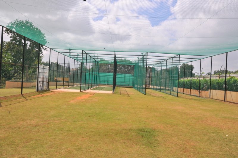 Cricket Court