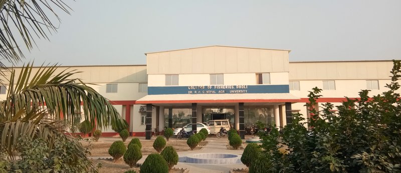 College of Fisheries