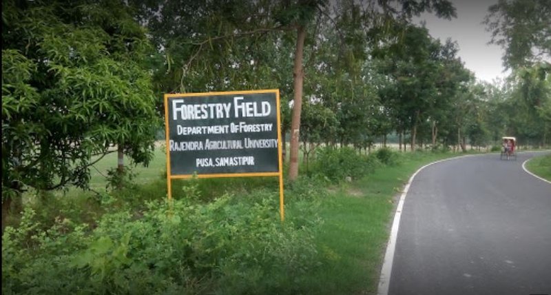 Department of Forestry