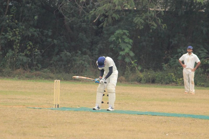 Cricket