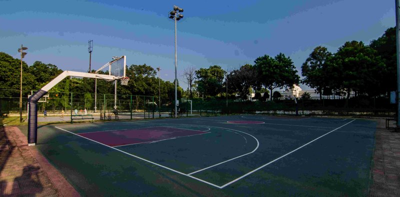 Basketball Court