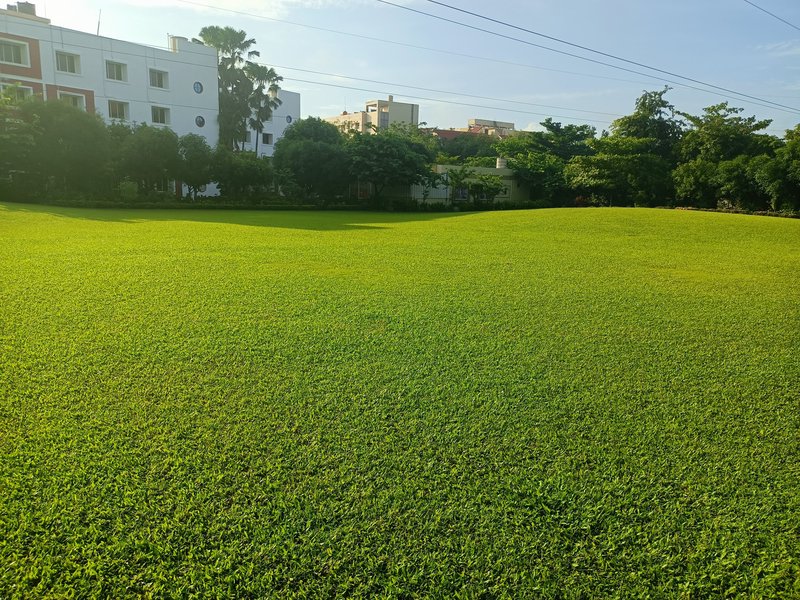 Campus front lawn view