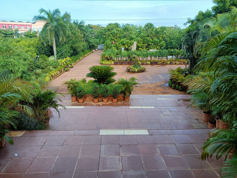 Garden Area View