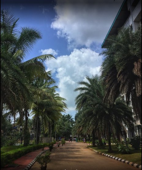 Campus view