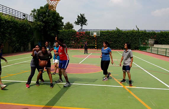 Basketball Court Basketball Court