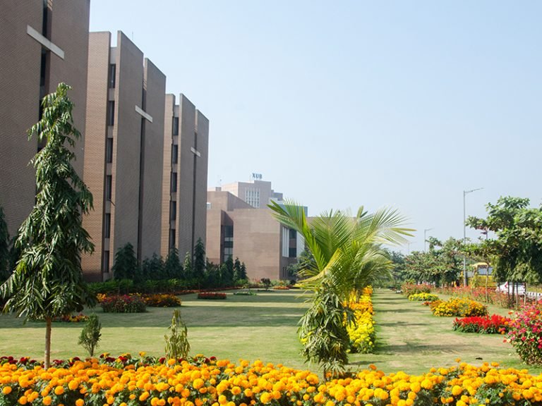 Campus View