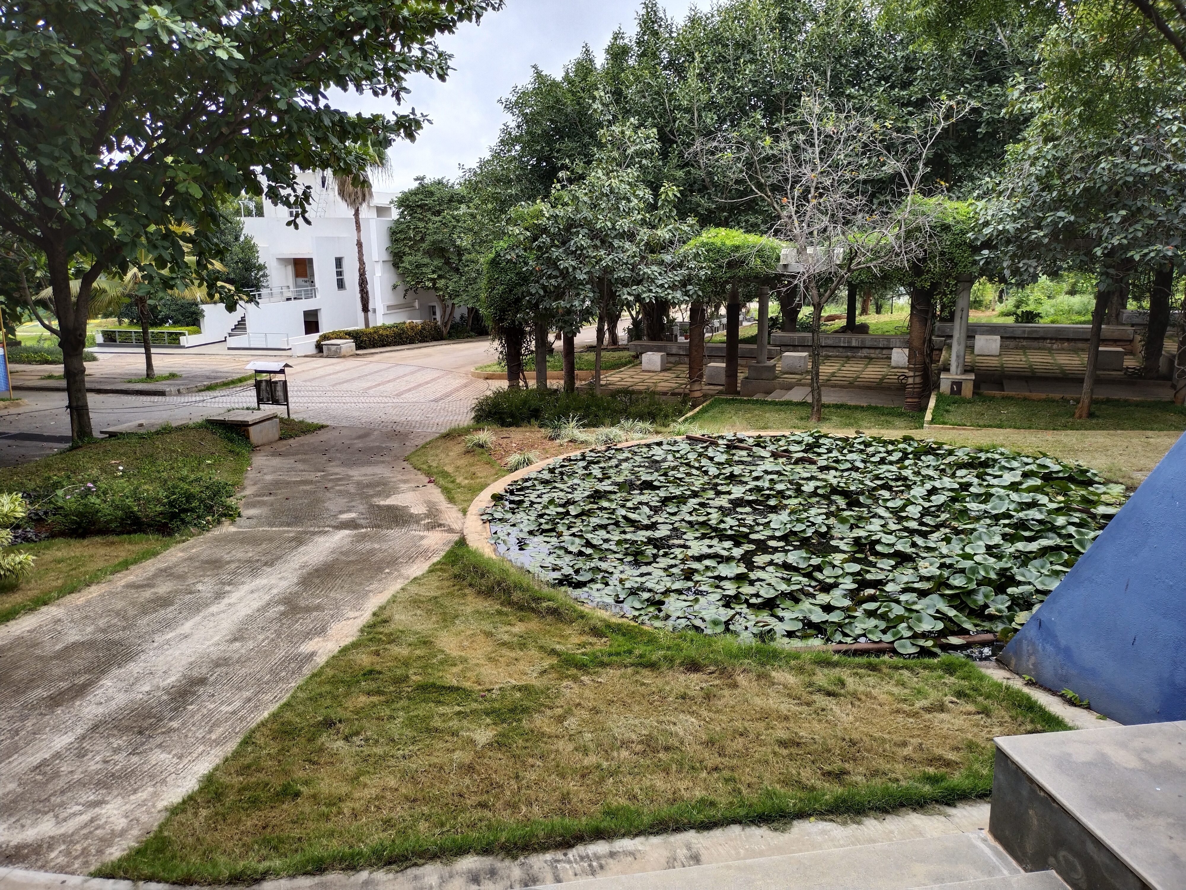 Campus View