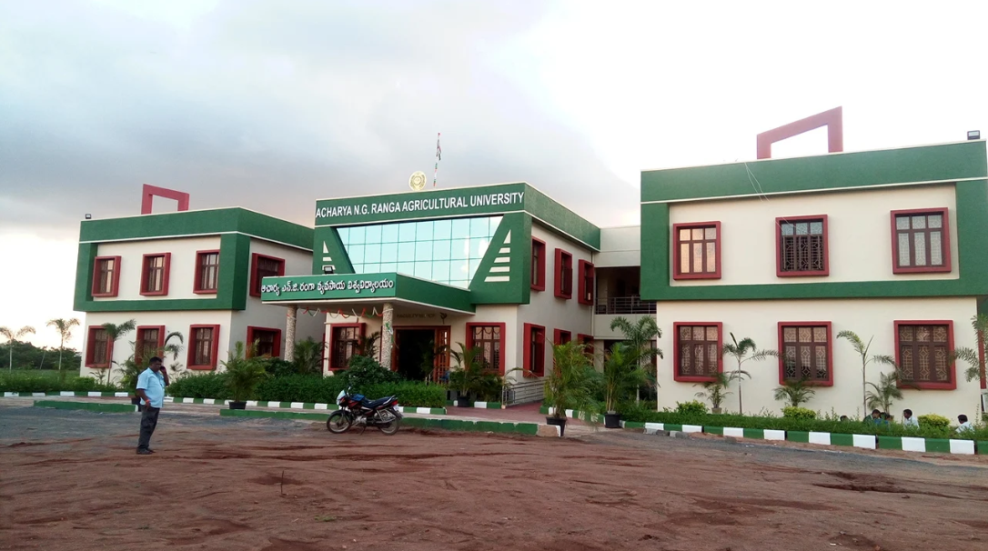 Campus Building