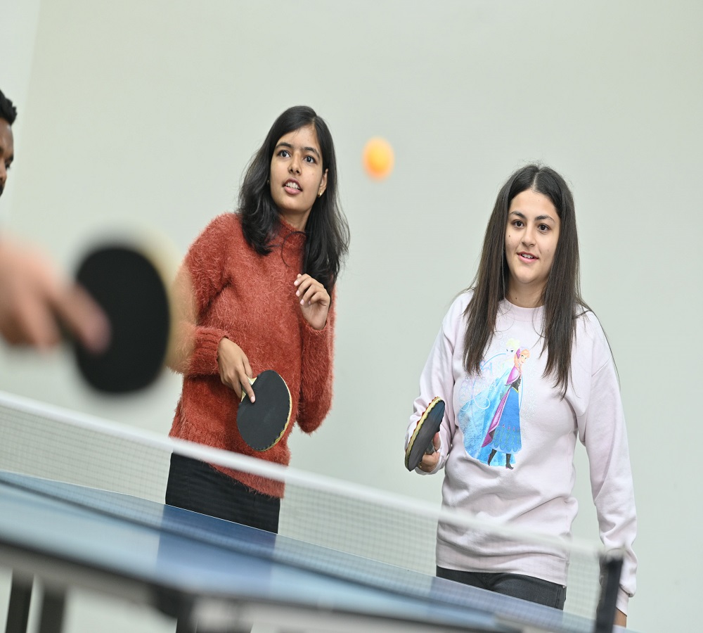 Table Tennis Court