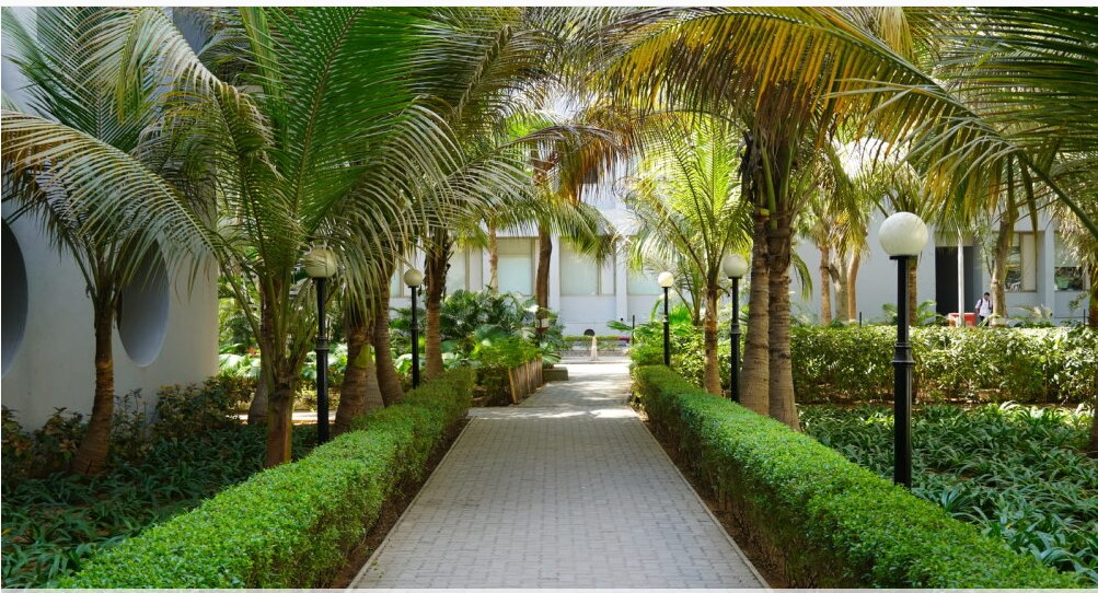 Campus View