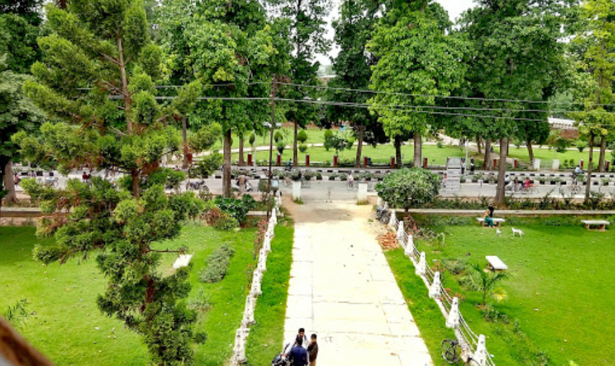 Campus View