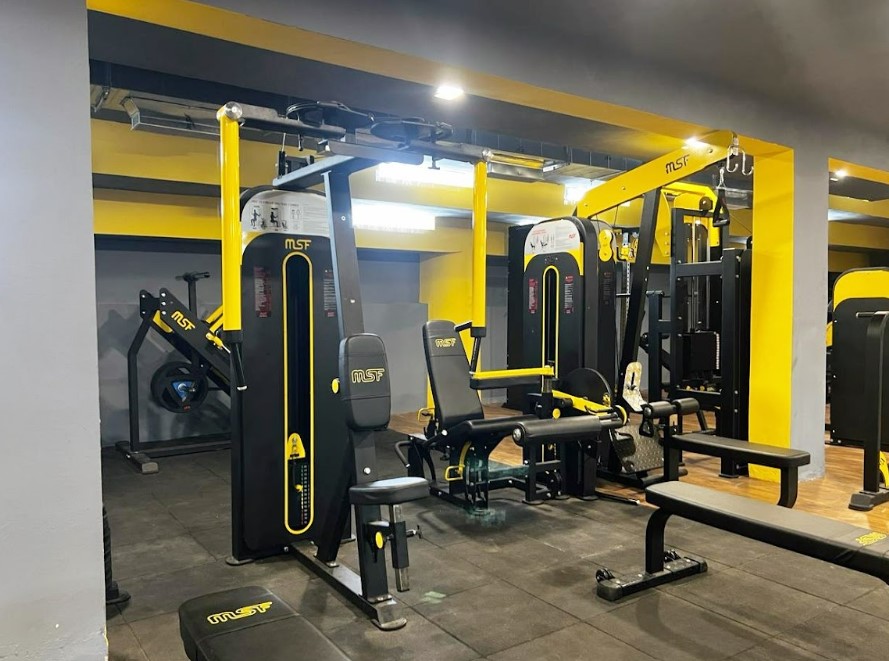 Gymnasium