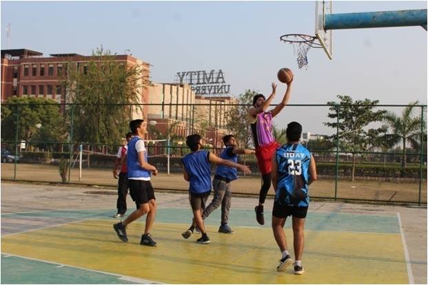 Basketball Court