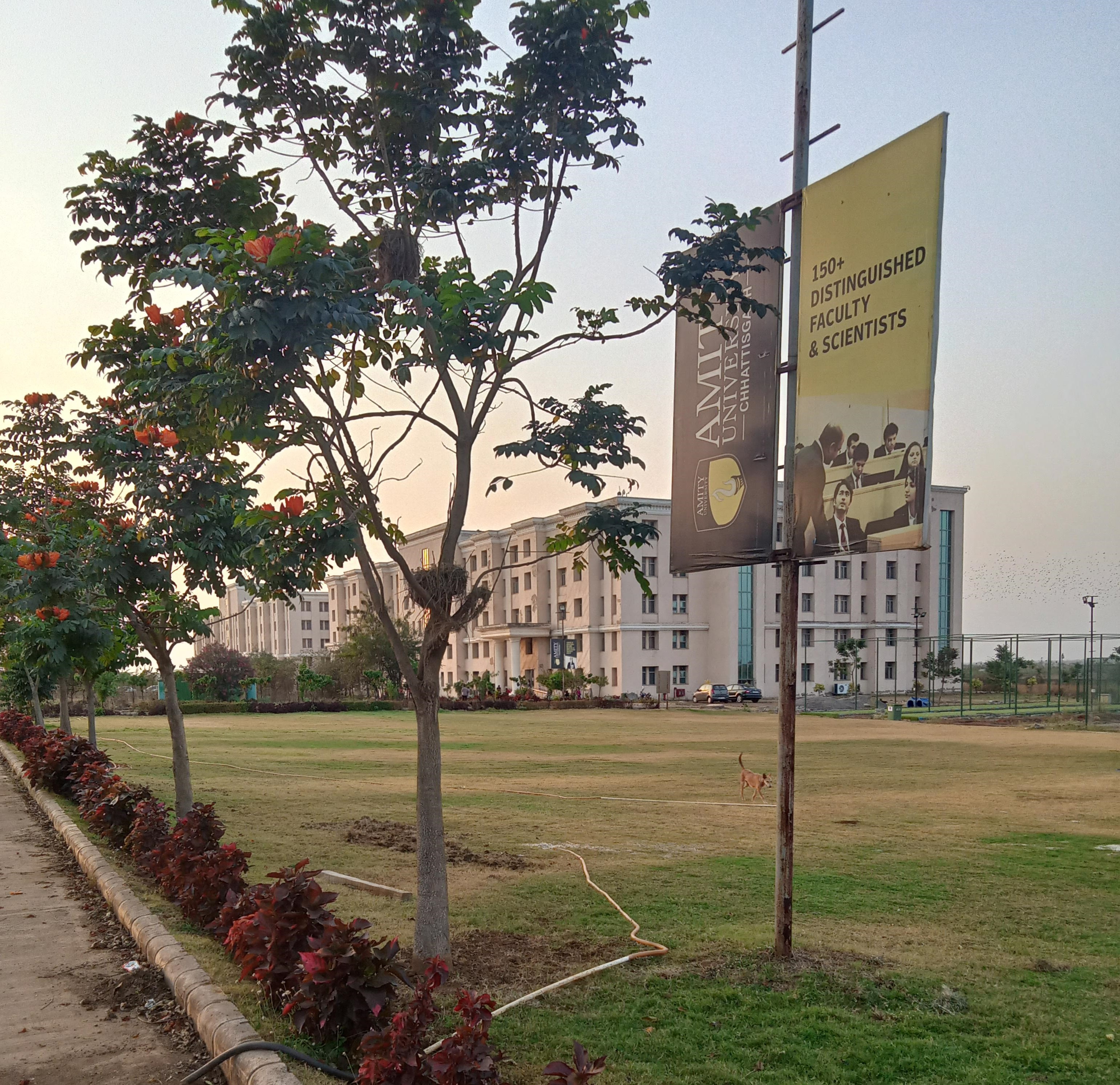 Campus VIew