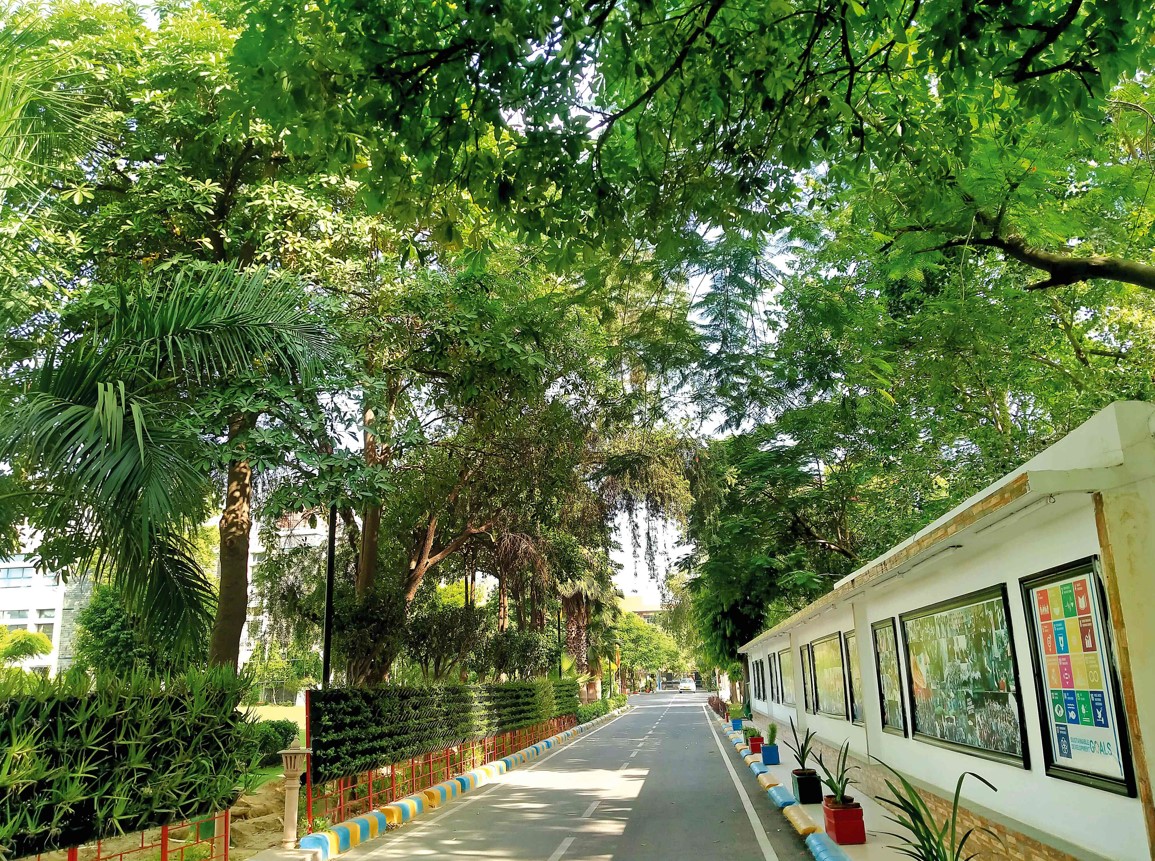 Campus area