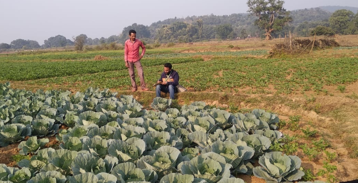 Field Visit