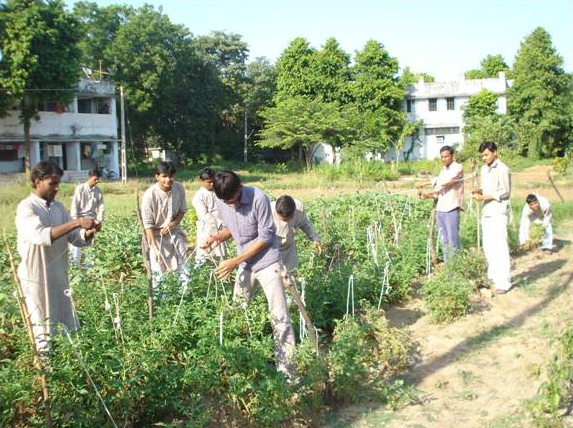 Student Agriculture Work