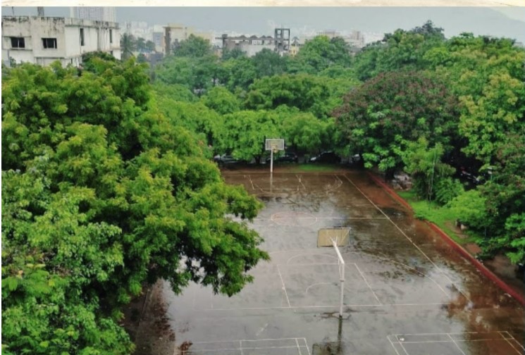 Basketball Court