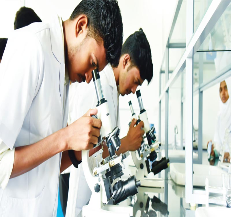 Lab