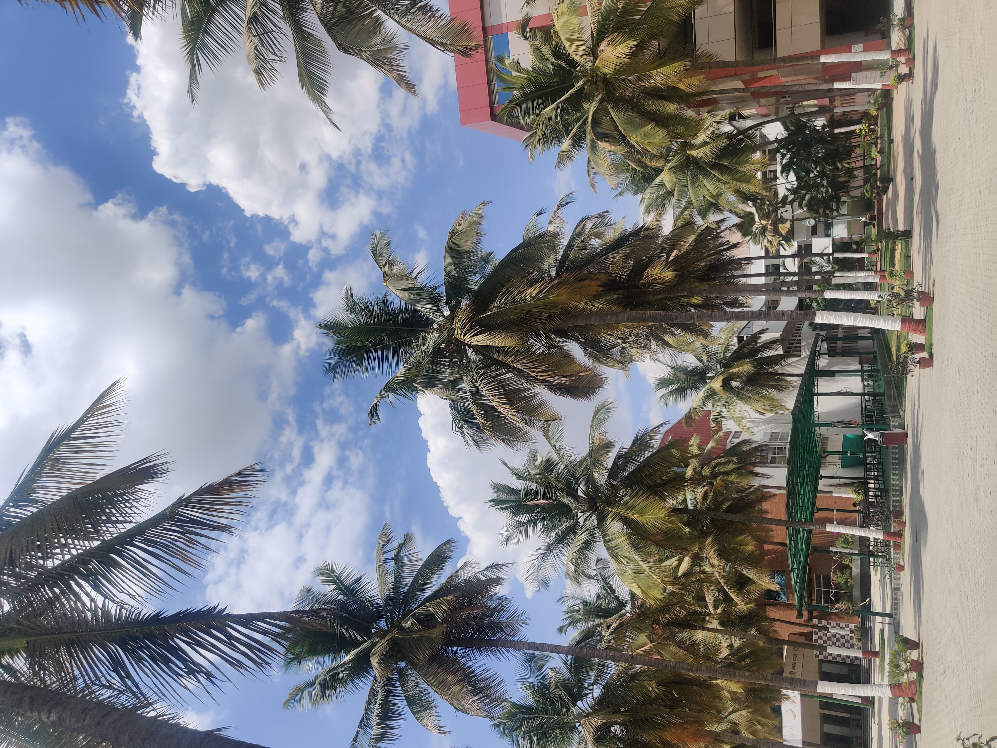 Campus View