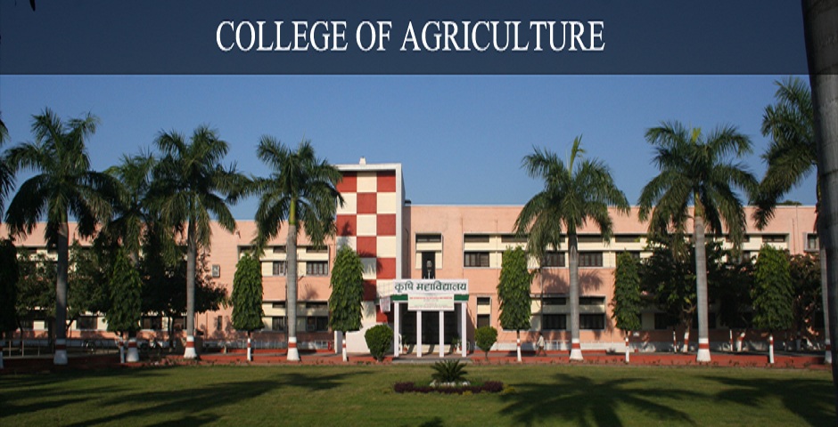 Campus Building