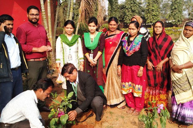 Plantation