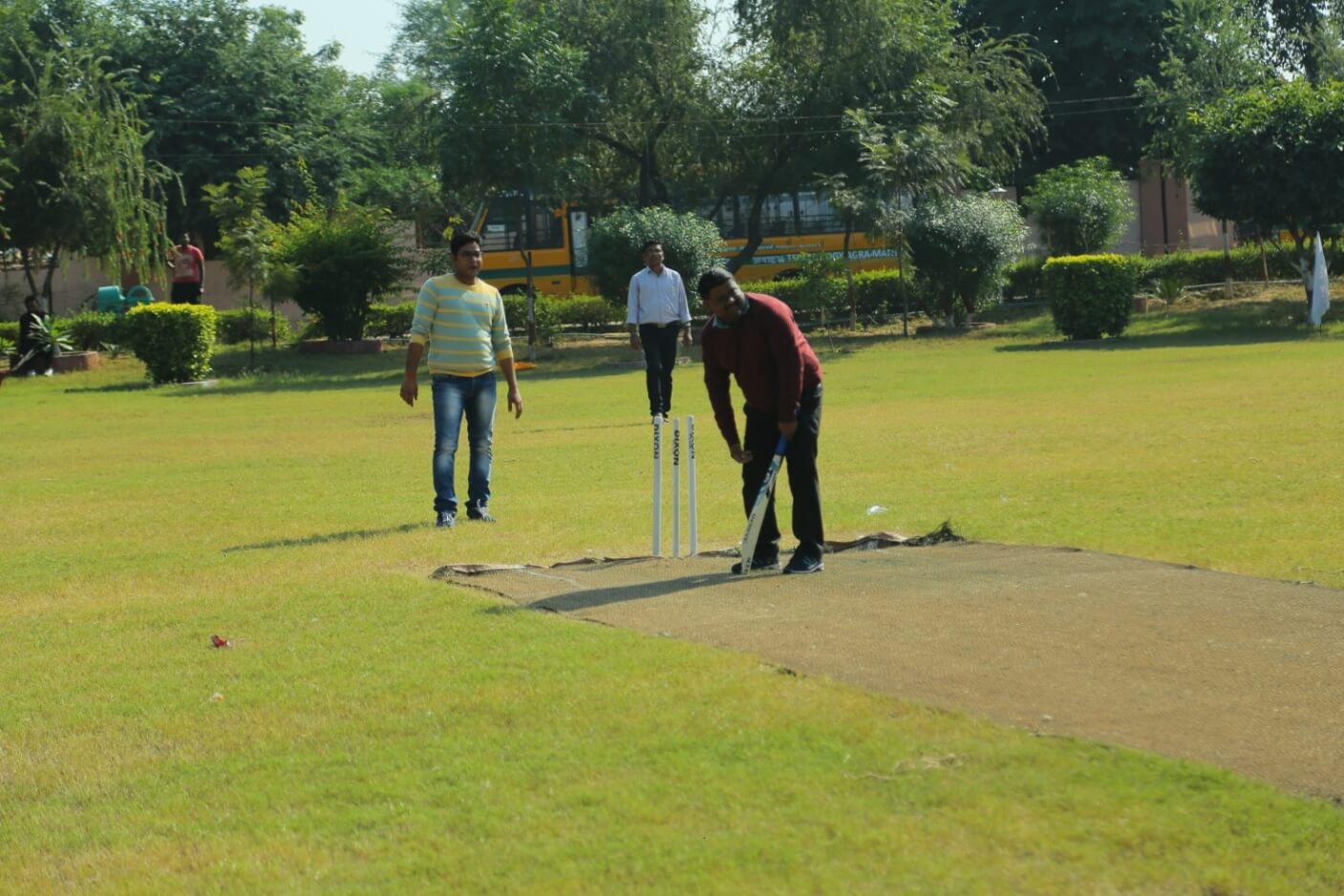 Cricket Playground