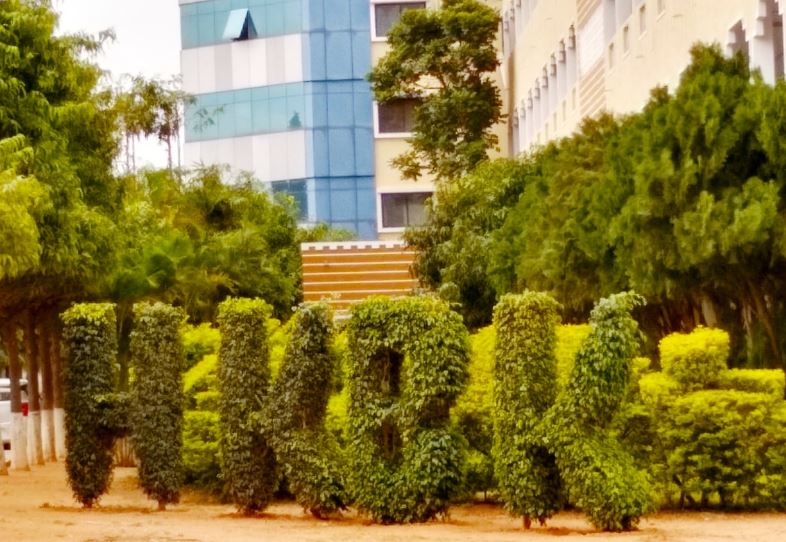 Campus View